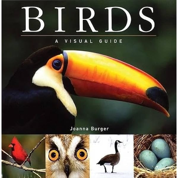 Amazon.com: Jeffrey Whiting's Owls of North America (Whiting's